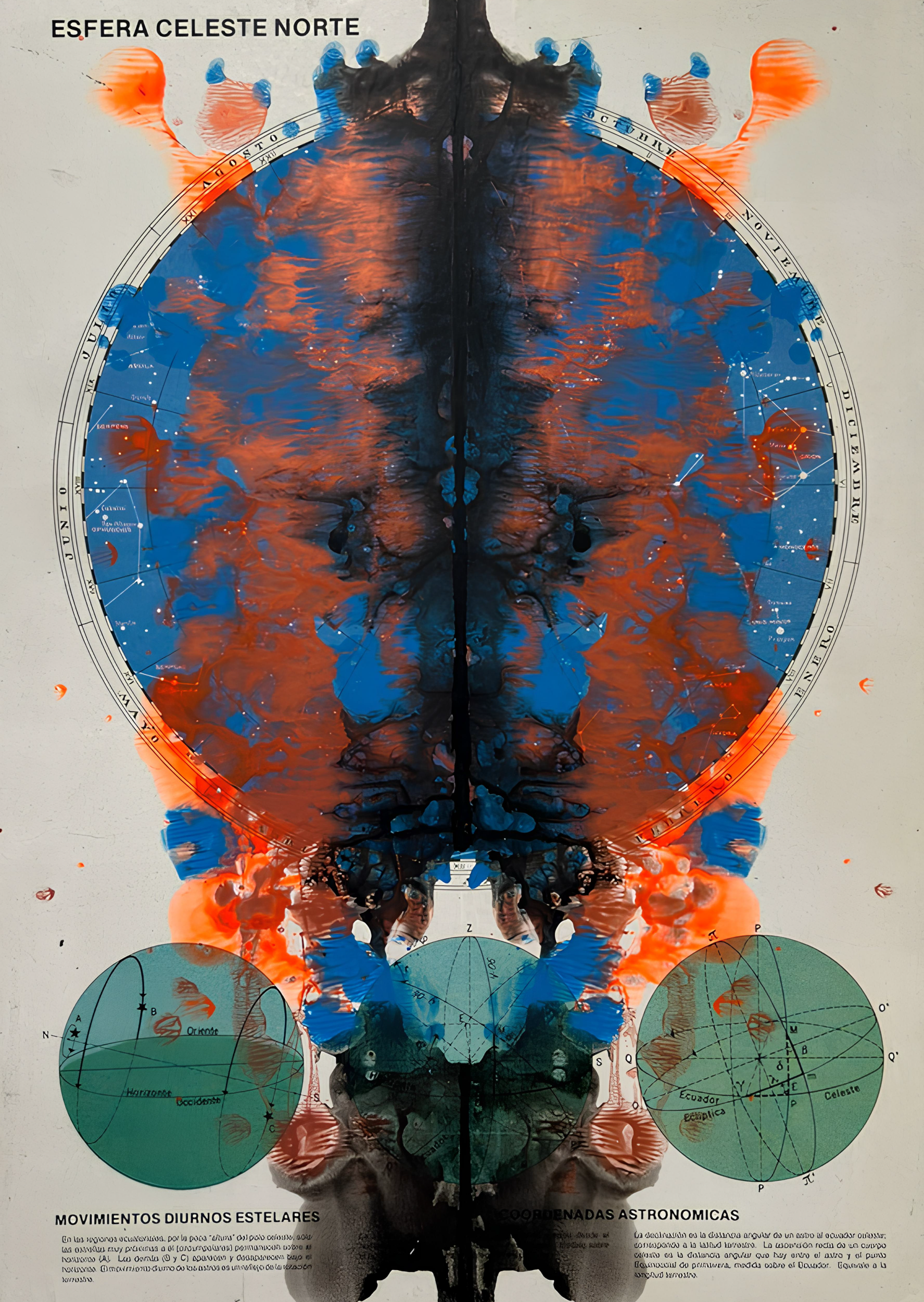 Mancha de Rorschach · VII